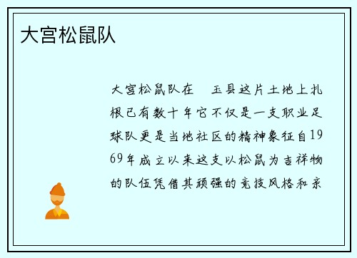 大宫松鼠队